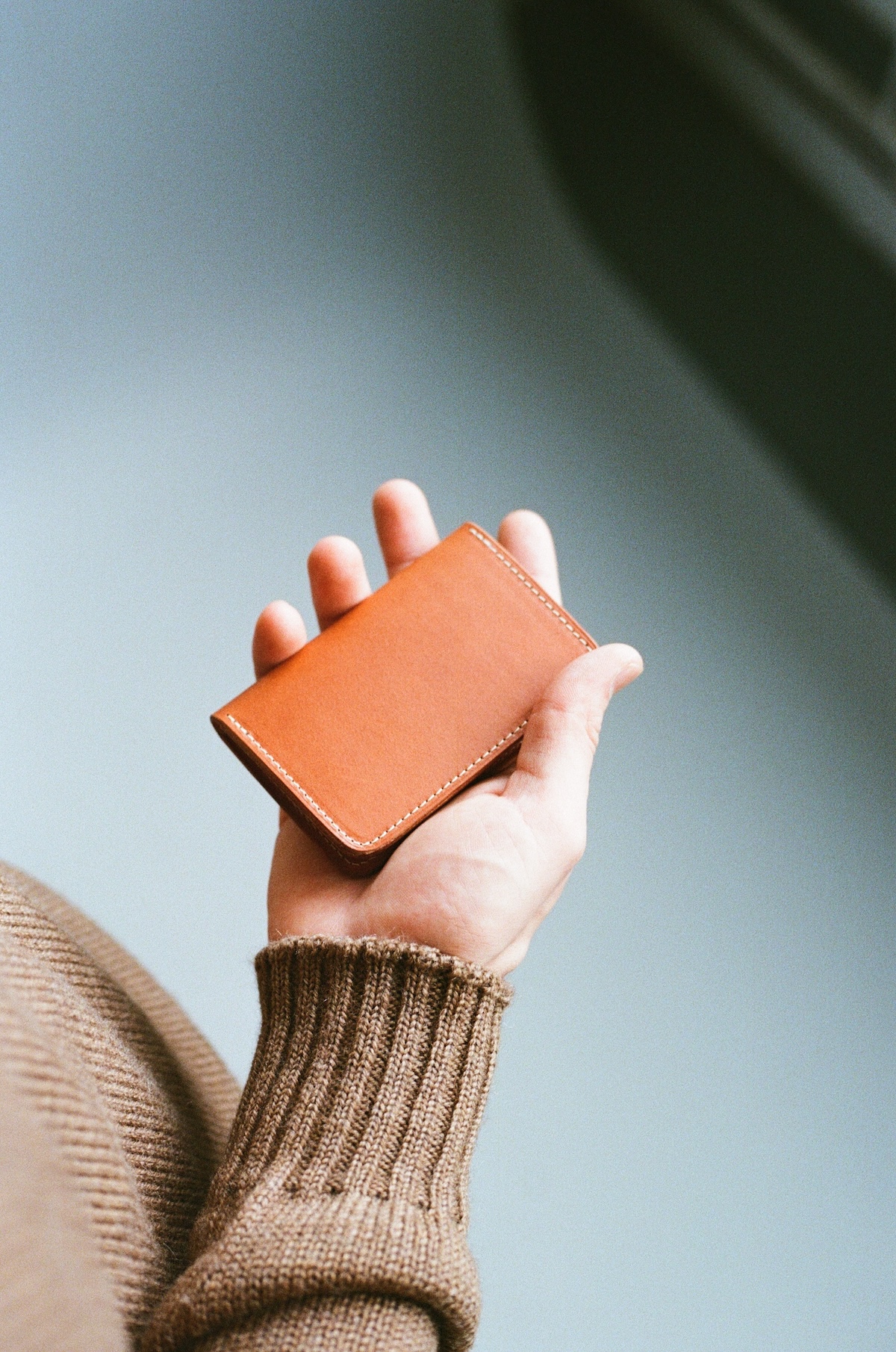 Porte-Cartes Livre en Veau Végétal Whisky